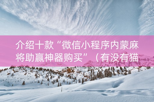 介绍十款“微信小程序内蒙麻将助赢神器购买”（有没有猫腻)