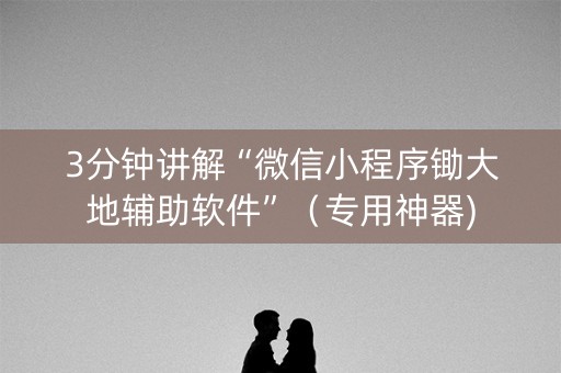 3分钟讲解“微信小程序锄大地辅助软件”（专用神器)