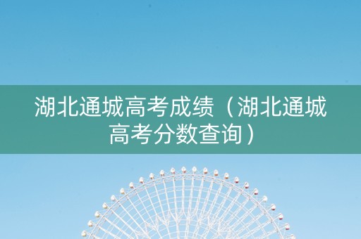 湖北通城高考成绩（湖北通城高考分数查询）