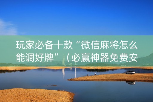 玩家必备十款“微信麻将怎么能调好牌”（必赢神器免费安装)