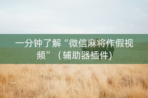 一分钟了解“微信麻将作假视频”（辅助器插件)