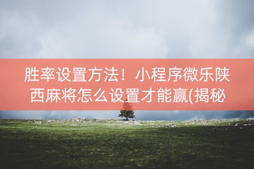 胜率设置方法！小程序微乐陕西麻将怎么设置才能赢(揭秘手机上怎么容易赢)