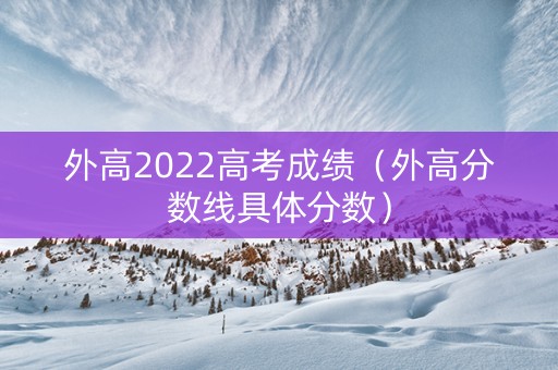 外高2022高考成绩（外高分数线具体分数）