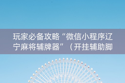 玩家必备攻略“微信小程序辽宁麻将辅牌器”（开挂辅助脚本)