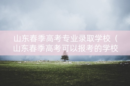 山东春季高考专业录取学校（山东春季高考可以报考的学校专业及分数线）