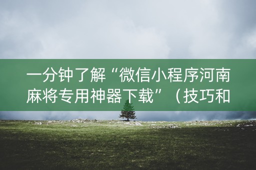 一分钟了解“微信小程序河南麻将专用神器下载”（技巧和打好牌方法)