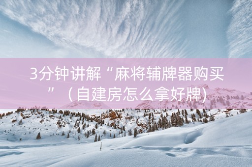 3分钟讲解“麻将辅牌器购买”（自建房怎么拿好牌)