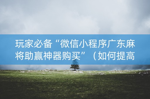 玩家必备“微信小程序广东麻将助赢神器购买”(如何提高胜率) 玩家必备“微信小程序广东麻将助赢神器购买”(如何提高胜率)
