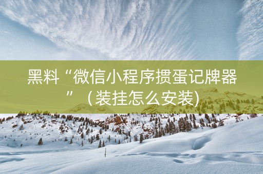 黑料“微信小程序掼蛋记牌器”（装挂怎么安装)