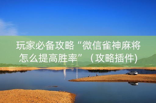 玩家必备攻略“微信雀神麻将怎么提高胜率”（攻略插件)