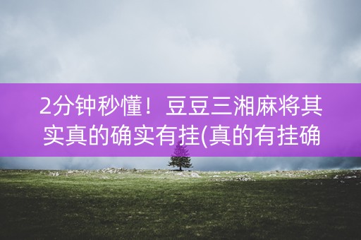 2分钟秒懂！豆豆三湘麻将其实真的确实有挂(真的有挂确实有挂)