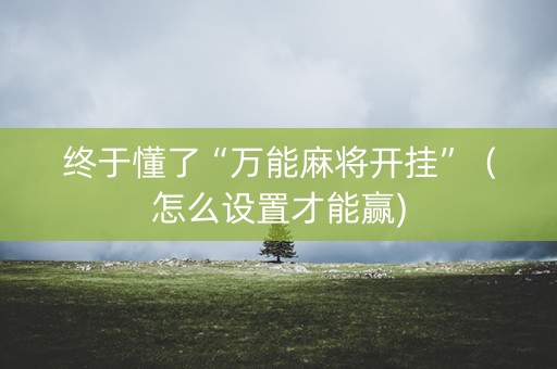 终于懂了“万能麻将开挂”（怎么设置才能赢)