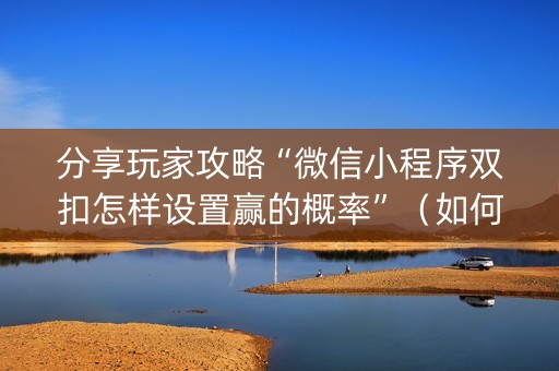 分享玩家攻略“微信小程序双扣怎样设置赢的概率”（如何提高胜率)