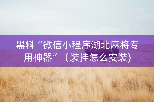 黑料“微信小程序湖北麻将专用神器”（装挂怎么安装)
