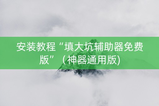 安装教程“填大坑辅助器免费版”（神器通用版)