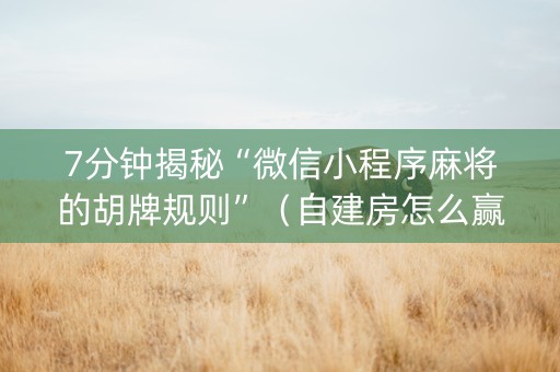 7分钟揭秘“微信小程序麻将的胡牌规则”（自建房怎么赢)