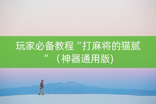 玩家必备教程“打麻将的猫腻”（神器通用版)