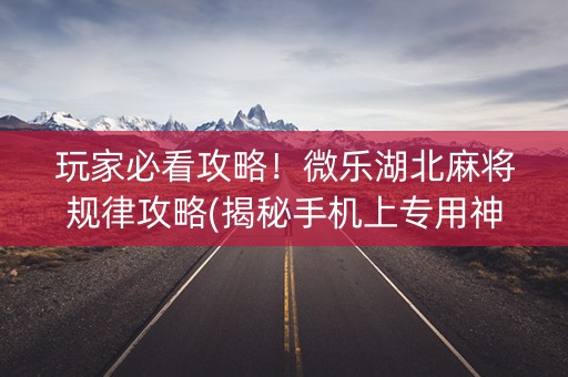 玩家必看攻略！微乐湖北麻将规律攻略(揭秘手机上专用神器)