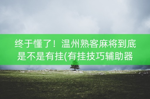 终于懂了！温州熟客麻将到底是不是有挂(有挂技巧辅助器)