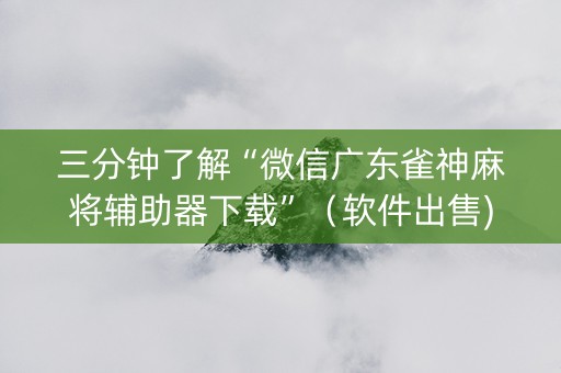 三分钟了解“微信广东雀神麻将辅助器下载”（软件出售)