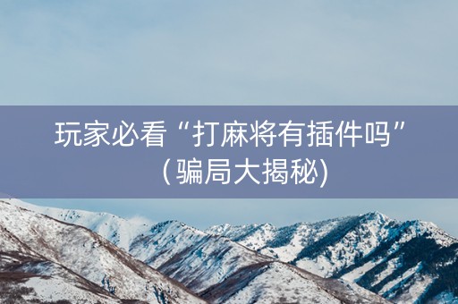 玩家必看“打麻将有插件吗”（骗局大揭秘)