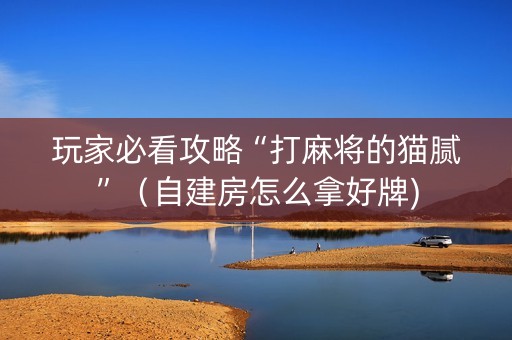 玩家必看攻略“打麻将的猫腻”（自建房怎么拿好牌)