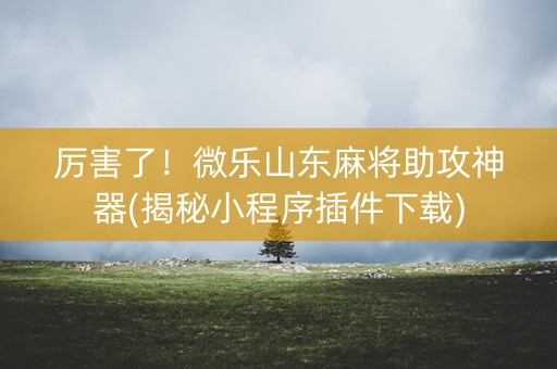厉害了！微乐山东麻将助攻神器(揭秘小程序插件下载)