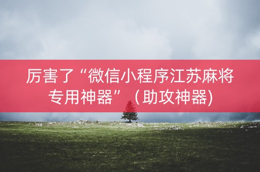 厉害了“微信小程序江苏麻将专用神器”（助攻神器)