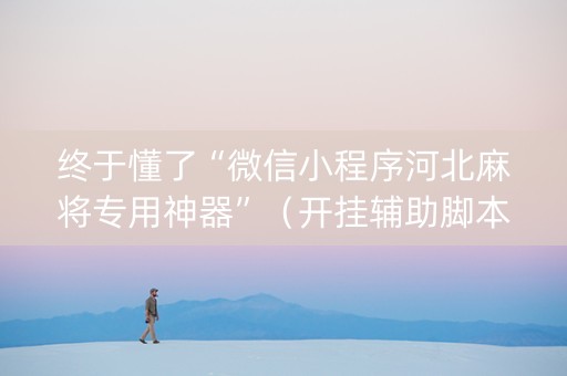 终于懂了“微信小程序河北麻将专用神器”（开挂辅助脚本)
