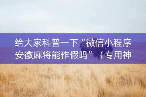 给大家科普一下“微信小程序安徽麻将能作假吗”（专用神器下载)