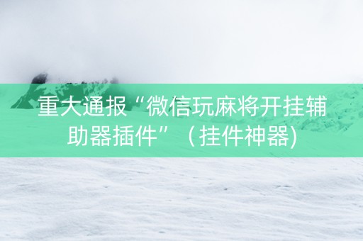 重大通报“微信玩麻将开挂辅助器插件”（挂件神器)