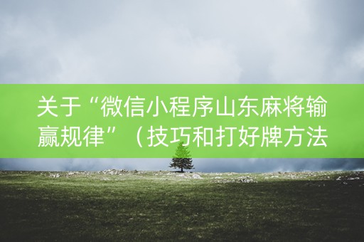 关于“微信小程序山东麻将输赢规律”（技巧和打好牌方法)