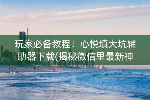 玩家必备教程！心悦填大坑辅助器下载(揭秘微信里最新神器下载)