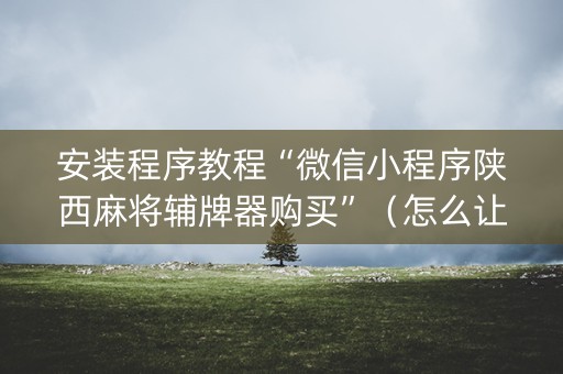 安装程序教程“微信小程序陕西麻将辅牌器购买”（怎么让系统给自己好牌)