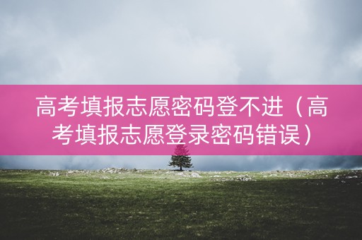 高考填报志愿密码登不进（高考填报志愿登录密码错误）