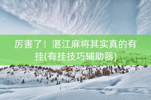 厉害了！湛江麻将其实真的有挂(有挂技巧辅助器)