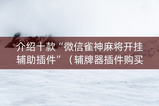 介绍十款“微信雀神麻将开挂辅助插件”（辅牌器插件购买)