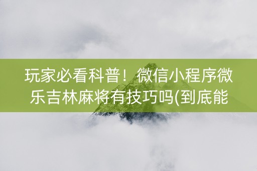 玩家必看科普！微信小程序微乐吉林麻将有技巧吗(到底能不能开挂)