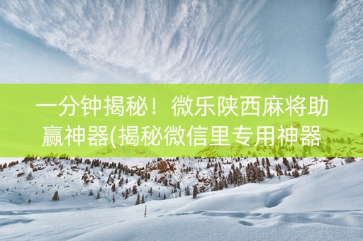 一分钟揭秘！微乐陕西麻将助赢神器(揭秘微信里专用神器下载)