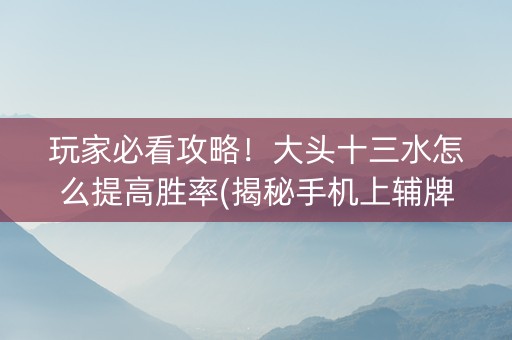 玩家必看攻略！大头十三水怎么提高胜率(揭秘手机上辅牌器)