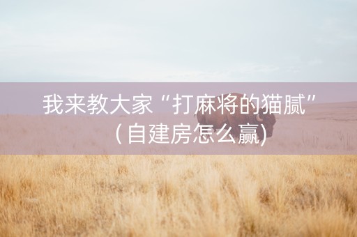 我来教大家“打麻将的猫腻”（自建房怎么赢)