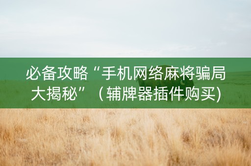 必备攻略“手机网络麻将骗局大揭秘”（辅牌器插件购买)