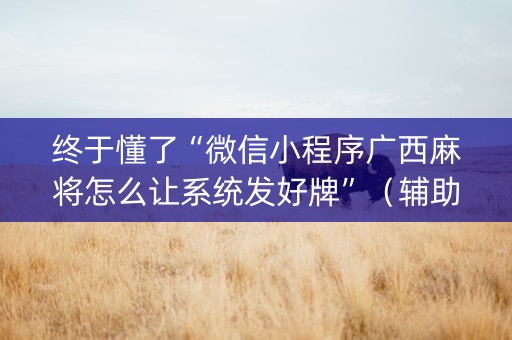 终于懂了“微信小程序广西麻将怎么让系统发好牌”（辅助软件)