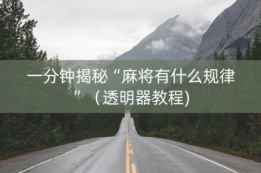 一分钟揭秘“麻将有什么规律”（透明器教程)