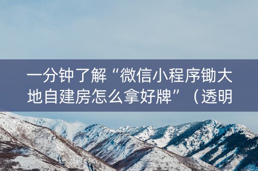 一分钟了解“微信小程序锄大地自建房怎么拿好牌”（透明器教程)