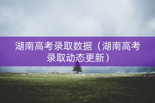 湖南高考录取数据（湖南高考录取动态更新）