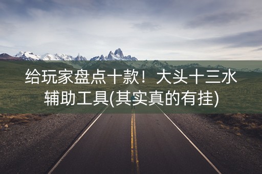 给玩家盘点十款！大头十三水辅助工具(其实真的有挂)