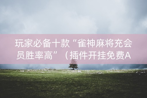 玩家必备十款“雀神麻将充会员胜率高”（插件开挂免费AI)