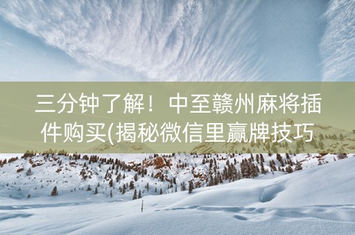 三分钟了解！中至赣州麻将插件购买(揭秘微信里赢牌技巧)