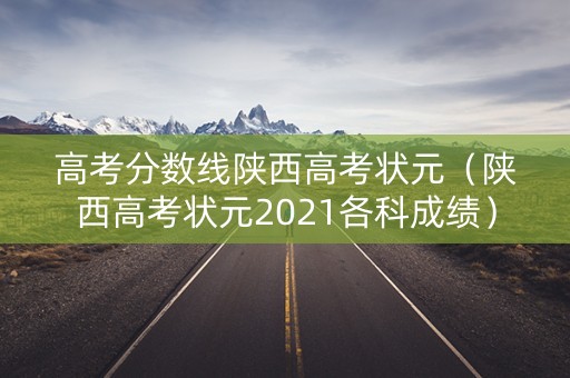 高考分数线陕西高考状元（陕西高考状元2021各科成绩）